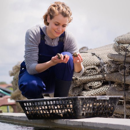 Man&oelig;uvre en aquaculture