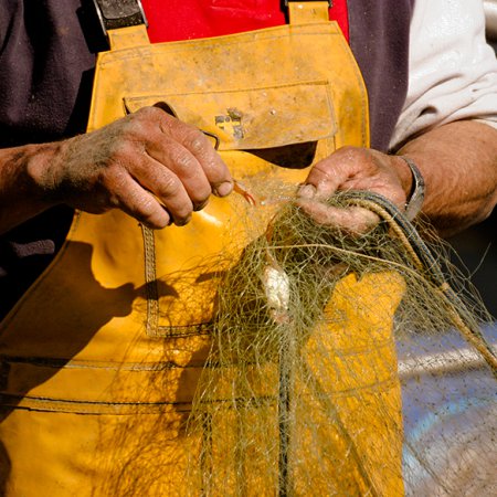 P&ecirc;cheur professionnel